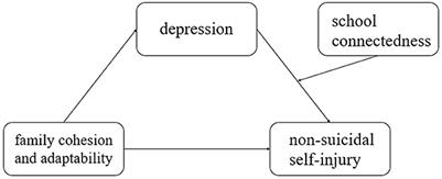 The relationship between family cohesion and adaptability and non-suicidal self-injury behavior in ethnic minority adolescents: a moderating mediation model